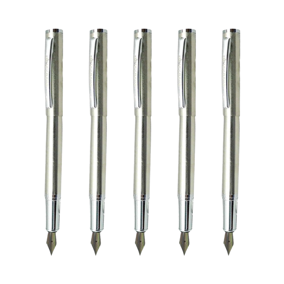 Magnet Silver Fountain Pen